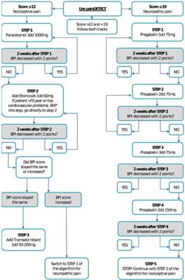 Comparative Effect of Collaborative Care, Pain Medication, and Duloxetine in the Treatment of Major Depressive Disorder and Comorbid (Sub)Chronic Pain: Results of an Exploratory Randomized, Placebo-Controlled, Multicenter Trial (CC:PAINDIP)